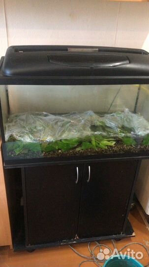 Аквариум с тумбой 150 литров