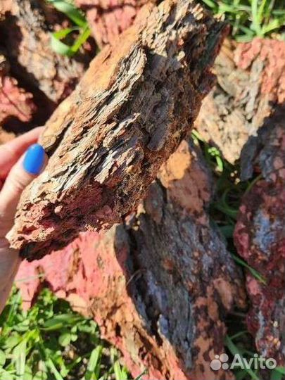 Кора лиственницы крупная 10-30см