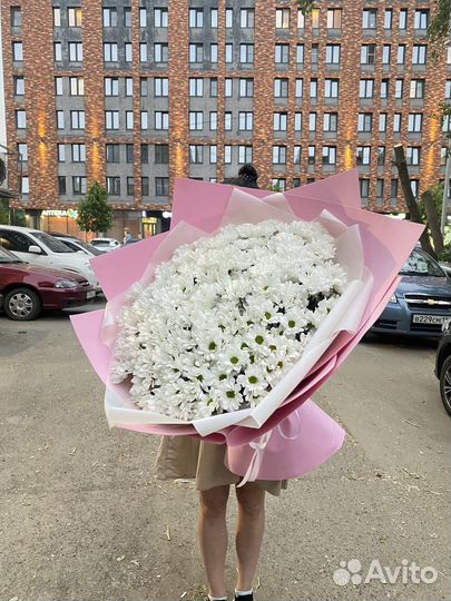 Хризантема кустовая букет