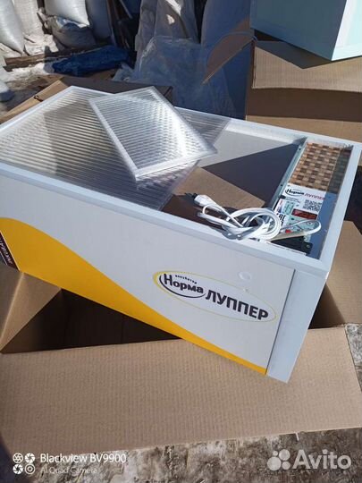 Блиц Норма, Луппер инкубаторы