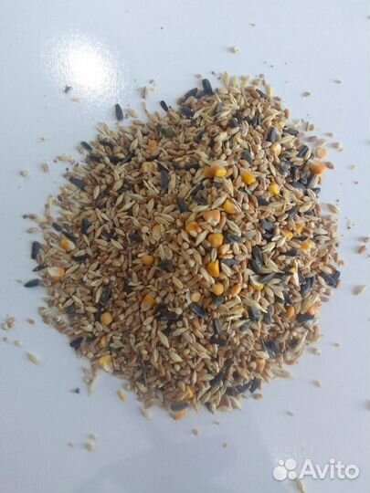 Зерносмесь для животных