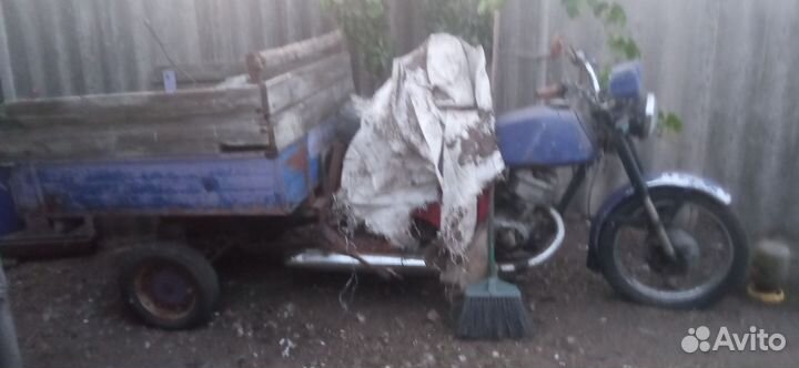 Продам муравья