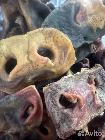 Вкусняшки для собак