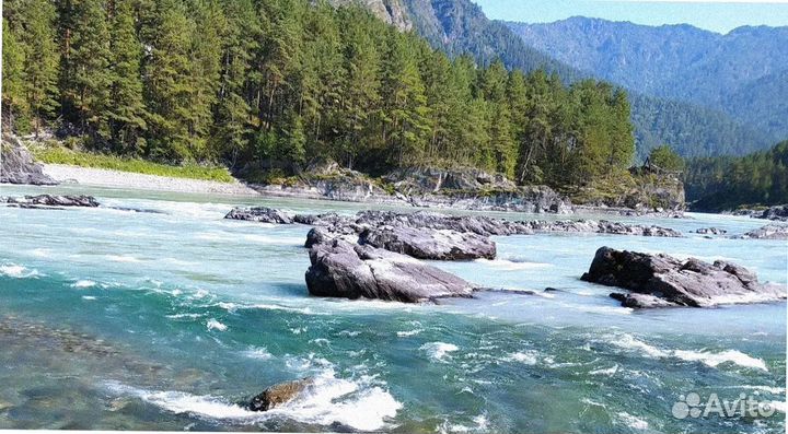 Турпоездка Алтай лето экскурсия до 7-ми дн