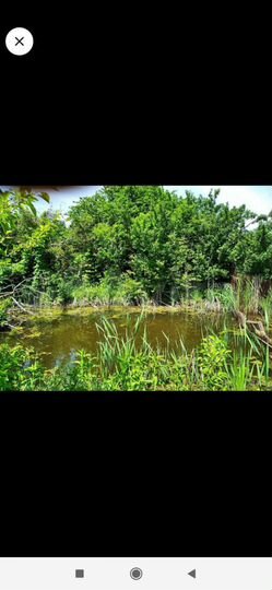 Участок 8 сот. (ИЖС)