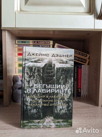 Бегущий в лабиринте все 3 части