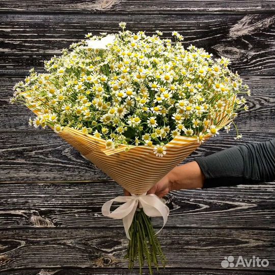 Букеты из ромашек Цветы Доставка