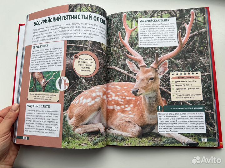 Красная книга России