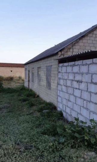 Животноводческая ферма