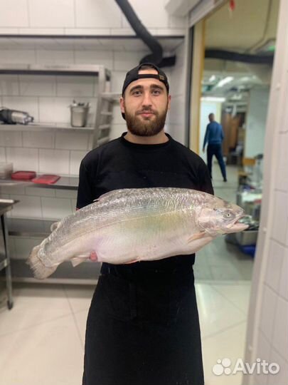 Повар су шеф, шеф повар