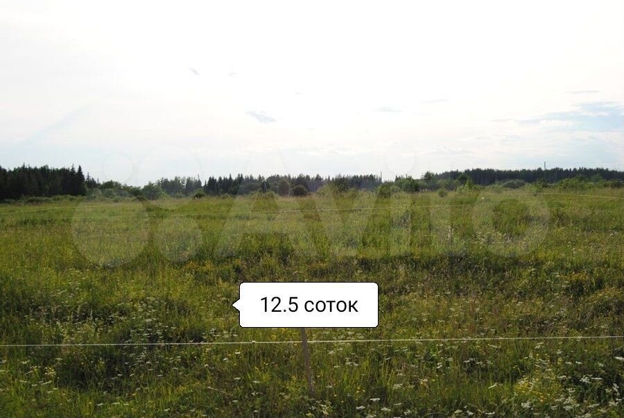 Участок 12,5 сот. (ИЖС)