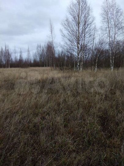 Участок 15 сот. (ИЖС)