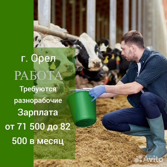 Разнорабочий с проживанием / грузчик