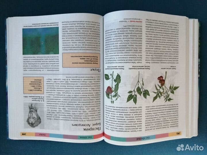 Детская энциклопедия