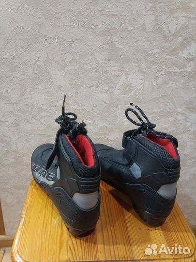 Лыжные ботинки spine