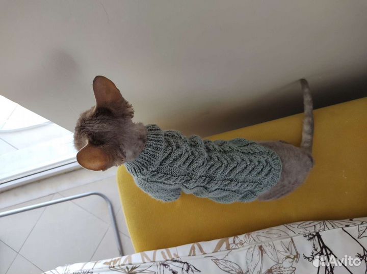 Кофта вязаная ручной работы для кота или собачки