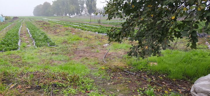 Дом 58,6 м² на участке 25 сот.