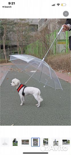Зонт для собаки Pappia
