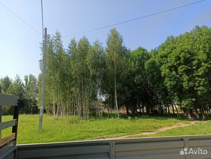 Расчистка участка от деревьев