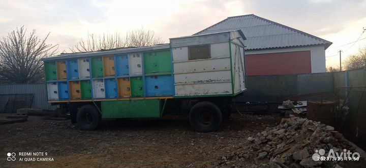 Пчелы и улья