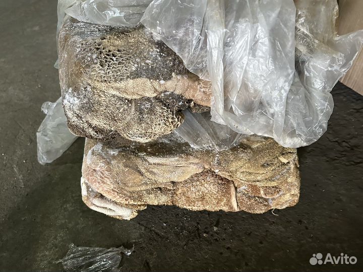 Рубец говяжий очищенный