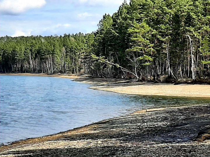 Участок 56,3 сот. (СНТ, ДНП)