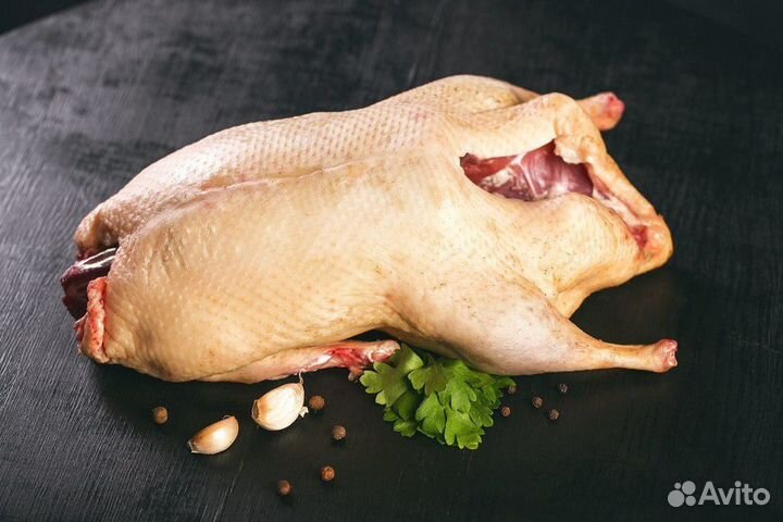 Мясо,индюшки, бройлера