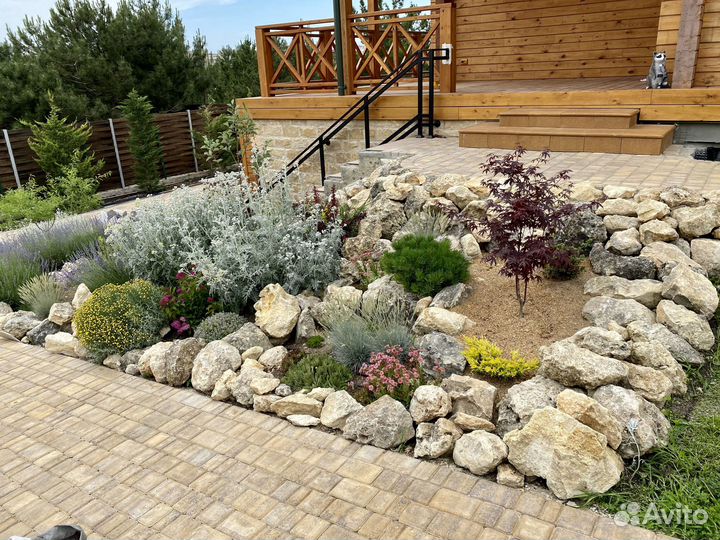 Озеленения,Ландшафтный дизайн,дизайнер