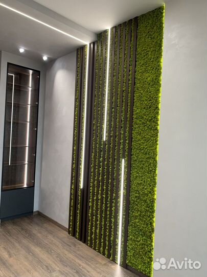 Стабилизированный мох