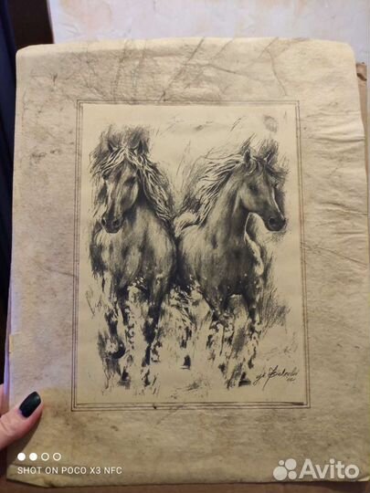 Рисунок Кони бегущие