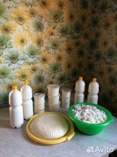 Молоко,сметана,творог,брынза оптом