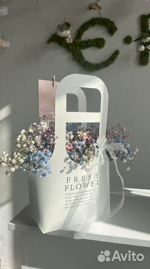 Гипсофила радужная