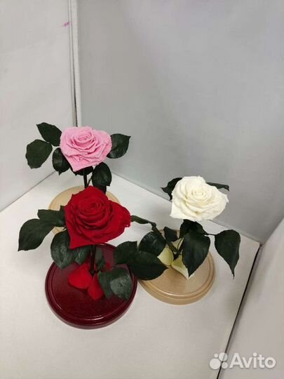 Роза в колбе