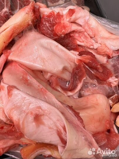 Кости для собак