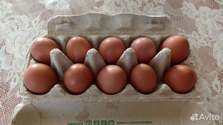 Яйцо куриное домашнее