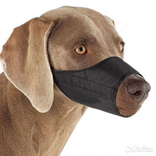 Ошейники для кошек и собак