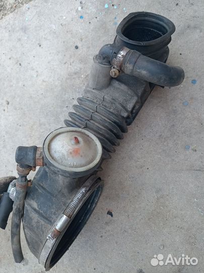 Гофра черепаха audi