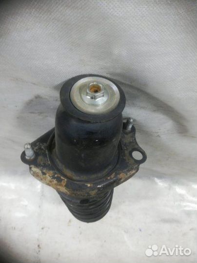 Амортизатор задний задний правый Toyota Corolla