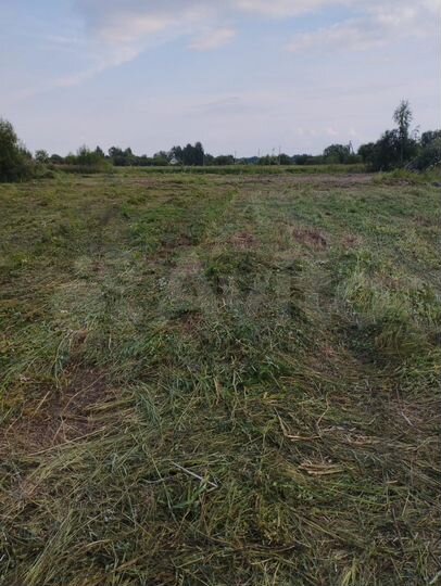 Участок 29,6 сот. (ИЖС)