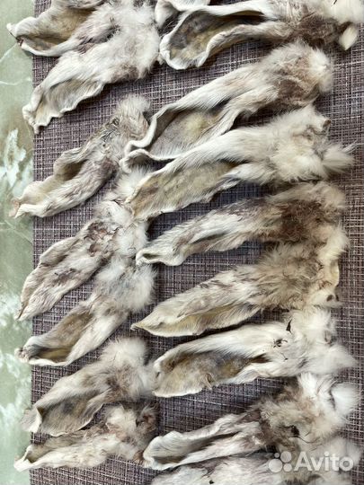 Ушки кролика сушеные