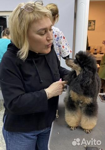 Стрижка собак и кошек (Груминг)