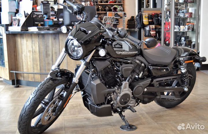 Nightster Harley-Davidson 2022