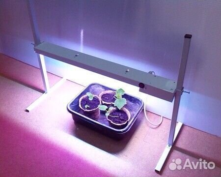 Светодиодная Фитолампа для рассады Led-15