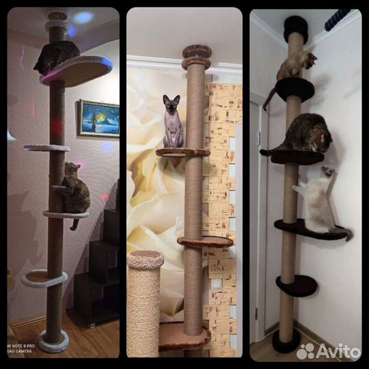 Когтеточка пол-потолок