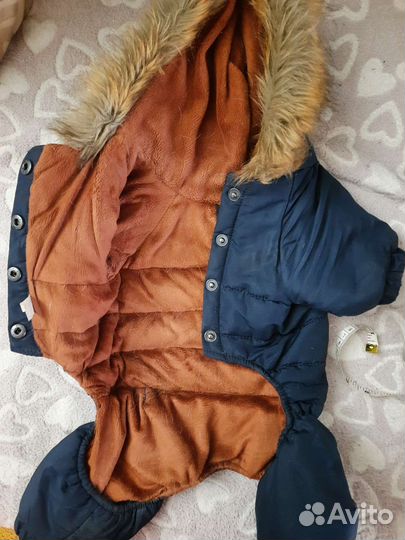 Тёплая куртка для собаки