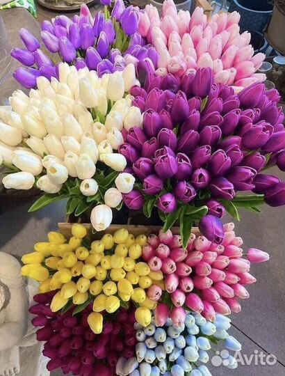 Тюльпаны опт
