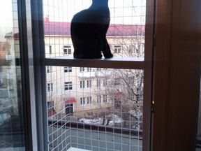 Антикошка балкон, кошачий балкончик, выгул на окно