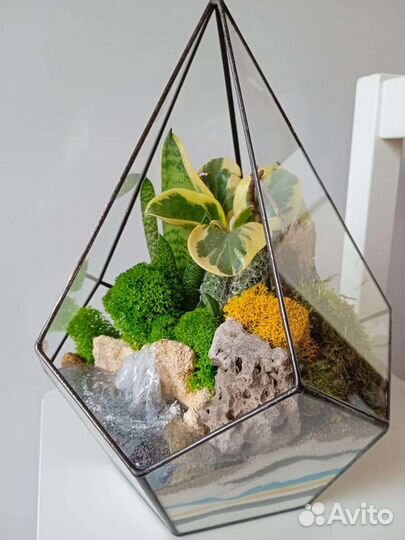 Флорариум. Букет. Комнатные цветы. Подарок