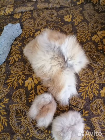 Шапка детская из лисы