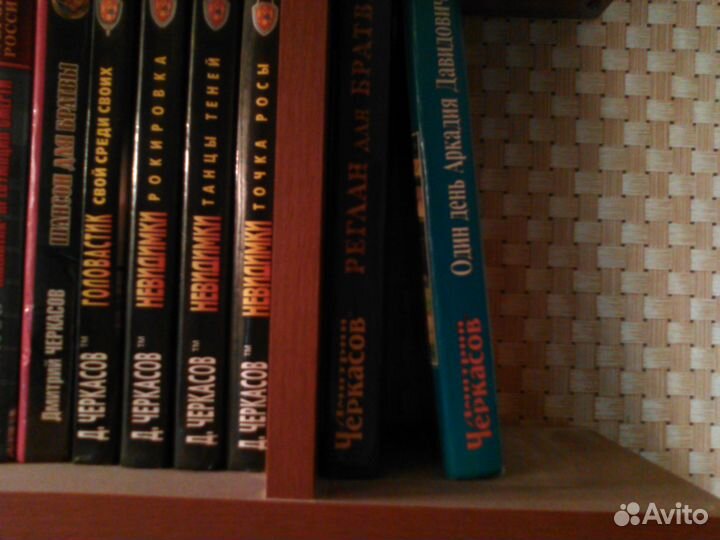 Дмитрий Черкасов, Владимир Михайлов